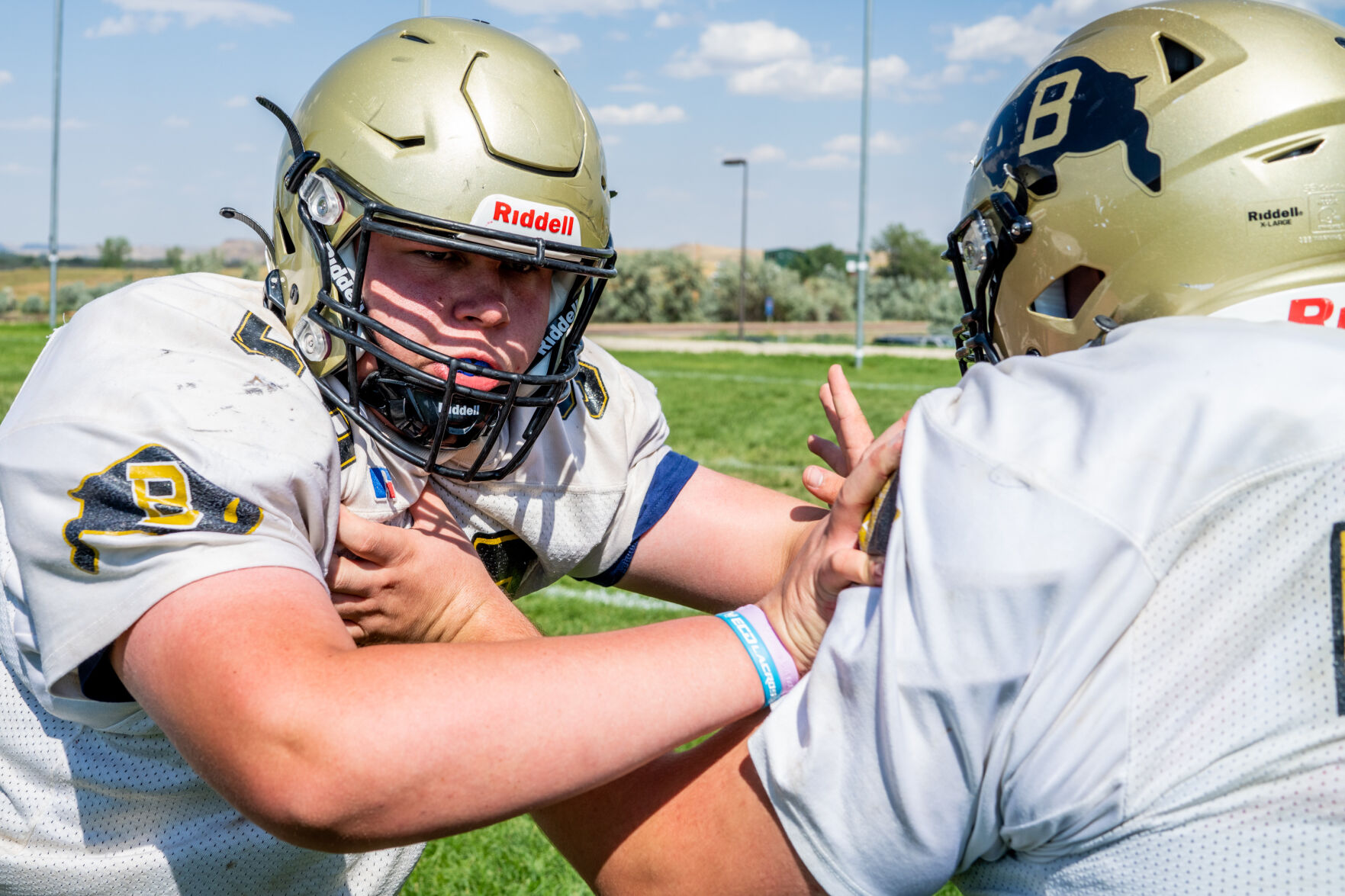 Bison football